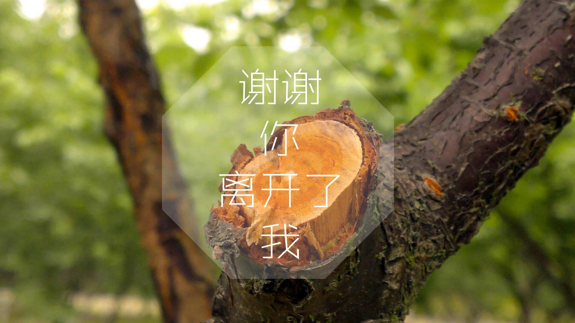 AIYOUXI.COM-美国马术协会推出马匹健康管理系统，提升马匹福利。，美国马术运动员
