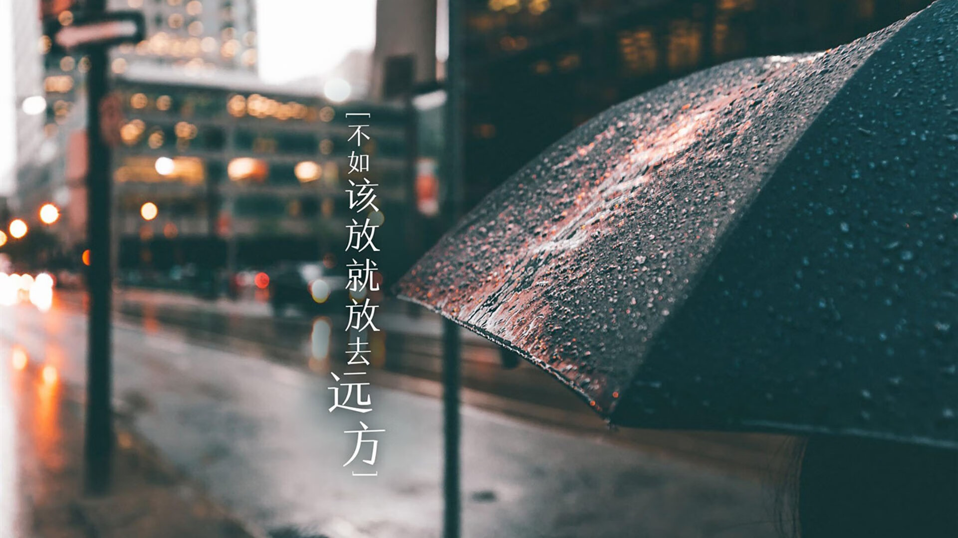 RNG新人选手表现抢眼，rng新上单new资料