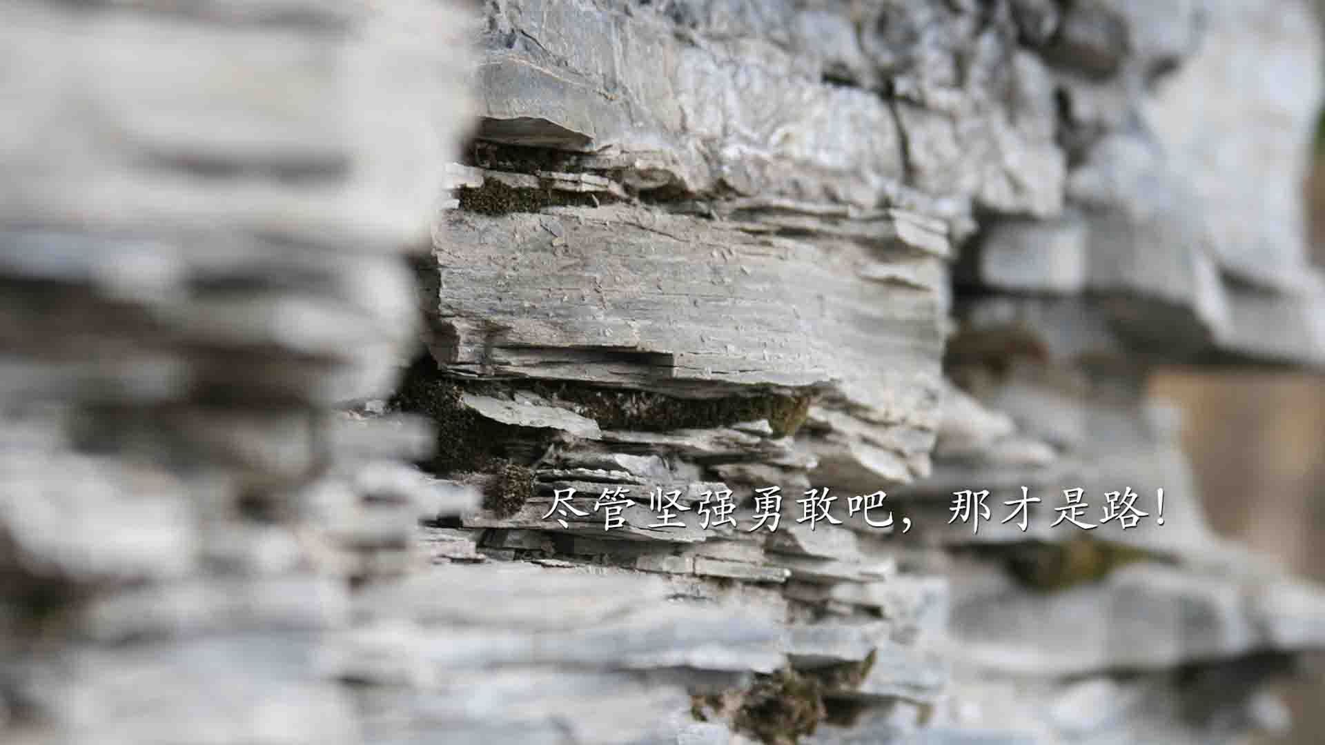 中国女排副攻提升拦网能力明显，中国女排副攻手排名