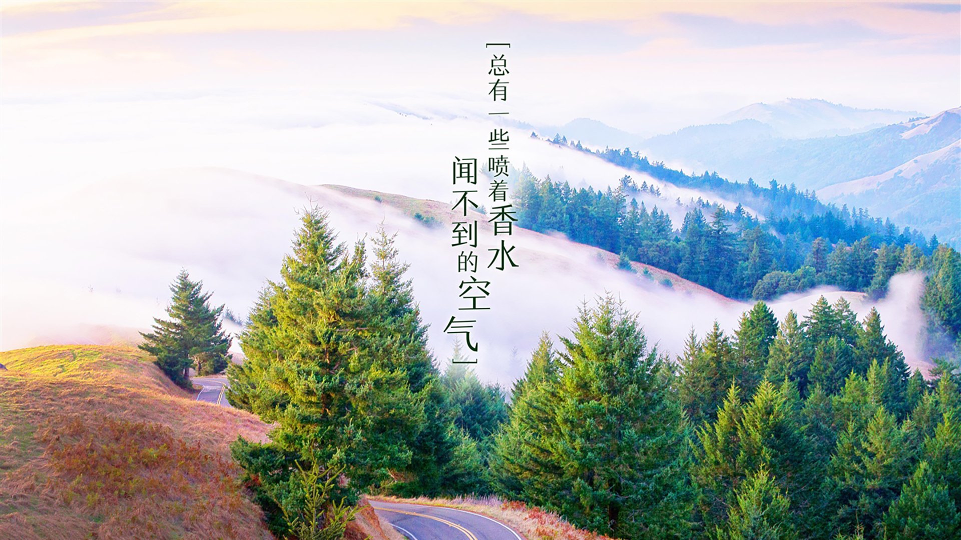 体育新闻中心晋级之路解析，体育新闻报道栏目