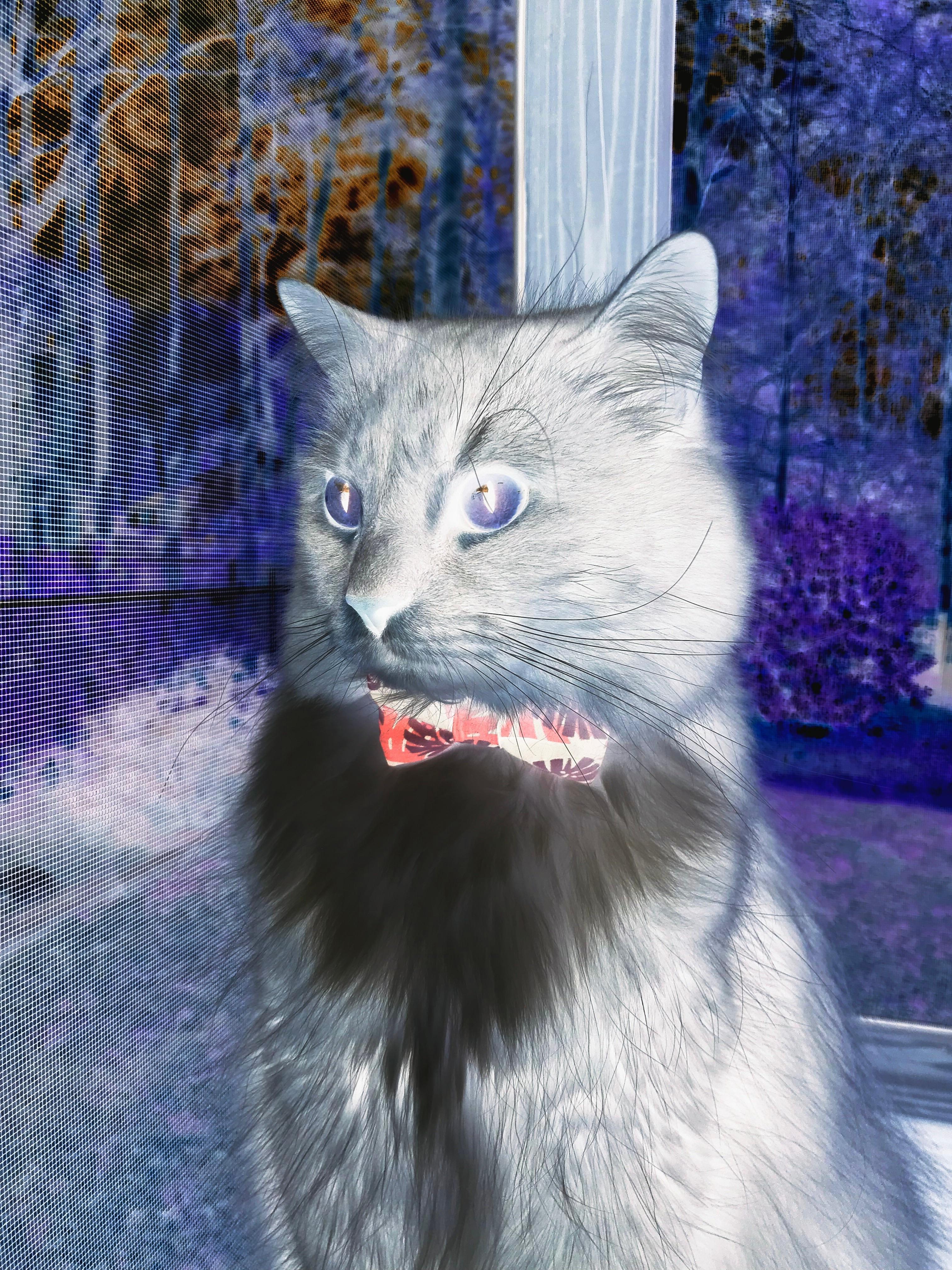 爱游戏app-美洲杯紧张激烈：每个瞬间都扣人心弦，美洲杯讲解